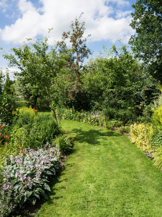 Gepflegter Garten mit Rasenfläche und Hecke – Gartenpflege in Heidenheim und Umgebung